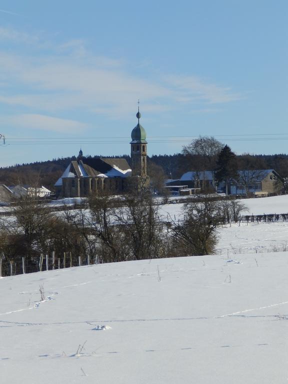 Am Hochkreuz Appartement Amel Buitenkant foto